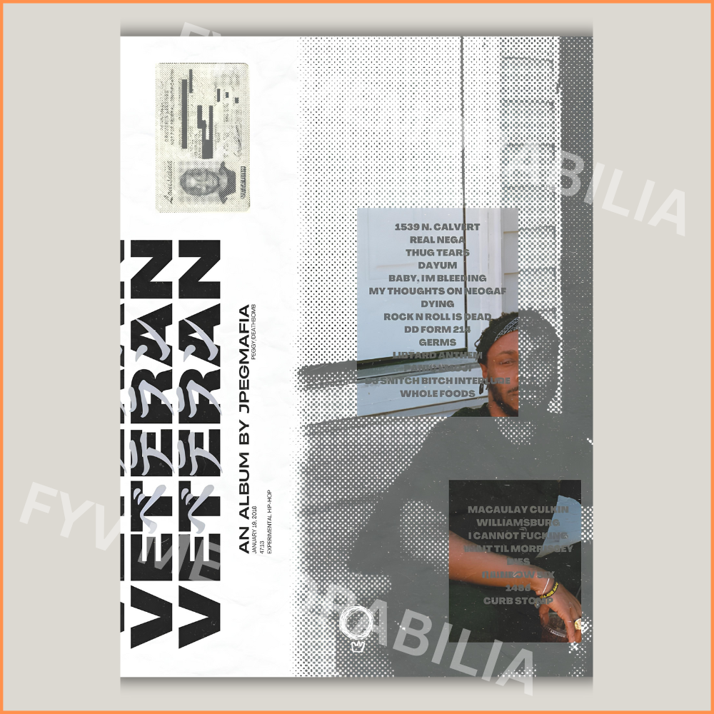 JPEGMAFIA Veteran Poster Wall Art Design Hip Hop Rap